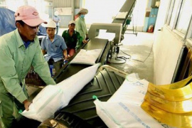 Giá gạo Việt Nam tăng mạnh, ngũ cốc Mỹ đồng loạt giảm