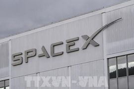 Điểm tin kinh tế thế giới nổi bật ngày 11/6/2026