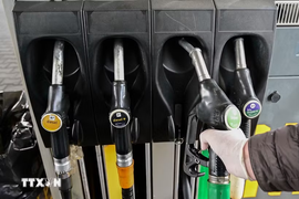 Ấn Độ miễn thuế tiêu thụ đặc biệt đối với xăng pha ethanol tỷ lệ cao