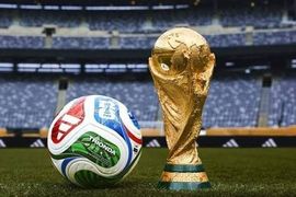 Chuyên gia Mirae Asset: Thanh khoản mùa World Cup "hụt hơi", nhưng dòng tiền trên TTCK không biến mất vì điều này
