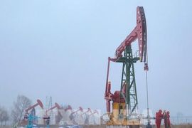 Giá dầu thế giới lao dốc xuống mức đáy 3 tháng