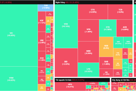 Thị trường vượt qua rung lắc phiên cơ cấu của ETFs ngoại