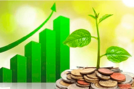 Lịch chốt quyền cổ tức tuần 22/6–26/6: Cổ tức cao nhất 78%, một “ông lớn” sắp chi gần 4.000 tỷ đồng