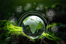 Loạt công ty chứng khoán đầu tiên gia nhập thị trường carbon Việt Nam