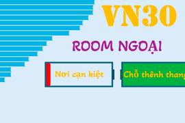 Room ngoại trong VN30: Nơi cạn kiệt, chỗ thênh thang