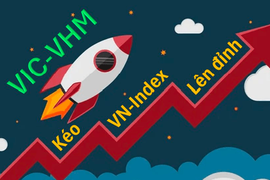 VN-Index tăng hơn 90 điểm từ đầu năm, bộ đôi VIC, VHM đóng góp gần 180 điểm