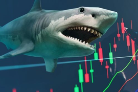 Cá mập quy mô 26.000 tỷ đồng bất ngờ "xuống tiền" gom trở lại một cổ phiếu chứng khoán Việt Nam