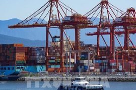 Chuyên gia IMF: Toàn cầu hóa bước vào giai đoạn “chuyển mình” mới