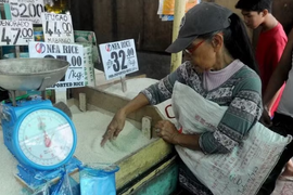 Philippines dự báo nhập khẩu 5,7 triệu tấn gạo trong năm 2026