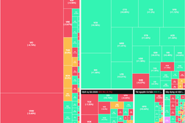 Cổ phiếu Ngân hàng và Đầu tư công khởi sắc