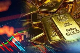 Tiền đang chảy vào kênh đầu tư nào?
