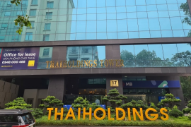 Cổ phiếu Thaiholdings (THD) lần đầu giảm điểm sau hơn 1 tháng