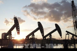 Giá dầu thế giới giảm 3% sau thoả thuận ngừng bắn giữa Israel và Liban