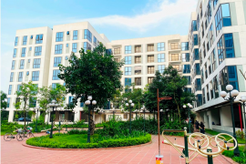 Cần một "thiết kế thể chế đặc biệt" cho phân khúc nhà ở cho thuê tại Việt Nam