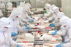 Một cổ phiếu thủy sản được khuyến nghị MUA với kỳ vọng tăng 41%