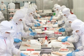 Một cổ phiếu thủy sản được khuyến nghị MUA với kỳ vọng tăng 41%