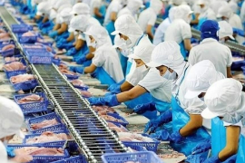 Vĩnh Hoàn trước triển vọng thuận lợi của ngành cá tra, cổ phiếu VHC được kỳ vọng tăng 30%