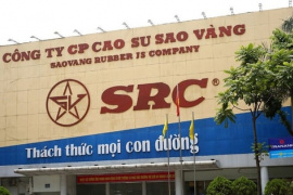 Lãi quý 1 tăng 250%, một doanh nghiệp sắp chốt quyền nhận "combo" cổ tức tiền mặt và cổ phiếu thưởng tỷ lệ 30%
