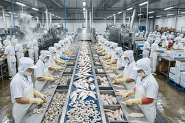 Mục tiêu 100 tỷ USD xuất khẩu nông sản: Cuộc đua "500 ngày đêm" và nghịch lý "khát" vốn