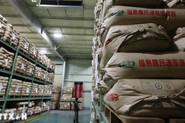 Giá gạo tại Nhật Bản giảm xuống mức thấp nhất kể từ cuối năm 2024