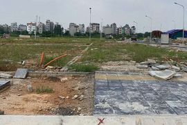 Đất đấu giá hạ nhiệt, thị trường dần đi vào thực chất