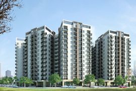Đề xuất miễn tiền đất, vay vốn siêu rẻ làm nhà cho thuê