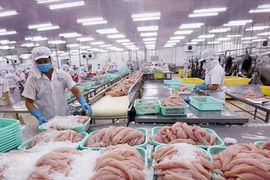 Doanh thu quý II giảm 74%, doanh nghiệp thủy sản vẫn báo lãi tăng hơn 200%, tiền chiếm 73% tài sản: Điều gì đã xảy ra?