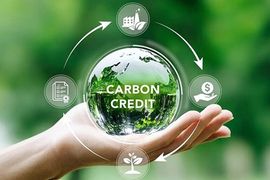 EU đề xuất cải tổ thị trường carbon, giảm áp lực cho doanh nghiệp
