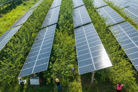 Trung Quốc áp thuế tiêu thụ với pin lithium-ion và tấm pin năng lượng mặt trời