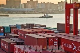 Mỹ có thể siết thuế, thị trường xuất khẩu 43 tỷ USD của châu Phi đối mặt bất định