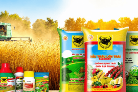 Phân bón Bình Điền (BFC) báo lãi giảm sốc trong quý II