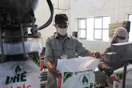"Quả đấm thép" một thời ngành phân bón báo lãi gấp 15 lần cùng kỳ, vẫn lỗ lũy kế 1.240 tỷ đồng