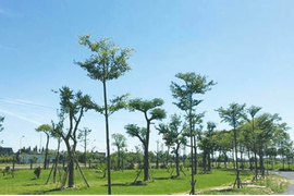 Hà Nội đưa ra thời hạn cuối cho 300 dự án treo