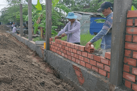 Từ ngày 31/8, những hành vi có thể khiến chủ đất bị phạt tới 10 triệu đồng