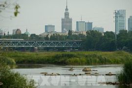 Điểm tin kinh tế Thế giới nổi bật ngày 31/7/2026