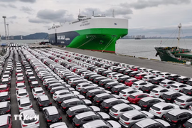 Thị phần các hãng ôtô nước ngoài tại Đức tăng mạnh trong 2026