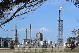 OPEC+ nhất trí nâng hạn ngạch khai thác dầu từ tháng 8/2026