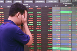 Cổ phiếu Tập đoàn Hà Đô (HDG) "có biến"