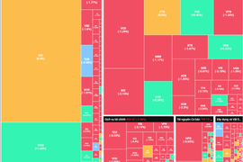 Nhóm cổ phiếu Midcap và Penny gặp áp lực bán mạnh