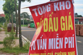 Nghiên cứu phương án tăng mức đặt cọc đấu giá đất lên 20 - 50%