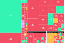 Nhóm Dầu khí vẫn được ưu tiên, VN-Index giảm 13 điểm