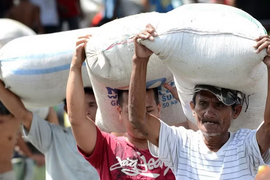 Philippines nhập khẩu gạo cao kỷ lục trong 6 tháng đầu năm