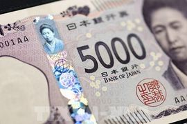 Cuộc họp Fed và các động thái hỗ trợ đồng yen chi phối thị trường tiền tệ tuần qua