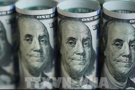 Tín dụng tư nhân tại Mỹ đối mặt với áp lực nợ xấu gia tăng