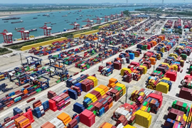 Trung Quốc áp thuế chống bán phá giá tạm thời với hồ đào Mỹ, Mexico
