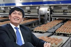 Màn IPO “đau thương” của tỷ phú Trần Đình Long: Cổ phiếu HPA giảm 28% sau 6 tháng lên sàn, liên tục dò đáy mới