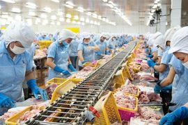 Con trai 'vua cá rô phi' lần thứ 3 mua thêm 1 triệu cổ phiếu ANV khi thị giá giảm gần 40% từ đầu năm