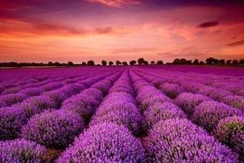 Cổ phiếu DN trục vớt cứu hộ trên sàn chứng khoán bất ngờ "đắt hàng" trong ngày thị trường giảm sâu