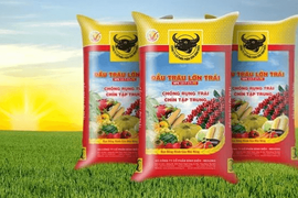 Lợi nhuận “lao dốc”, thù lao nhiều lãnh đạo Phân bón Bình Điền (BFC)  tăng hơn gấp đôi