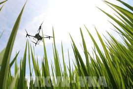 Điểm tin kinh tế thế giới nổi bật ngày 14/8/2026